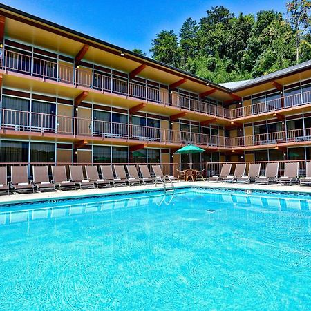 Wild Bear Inn Пиджен-Фордж Экстерьер фото